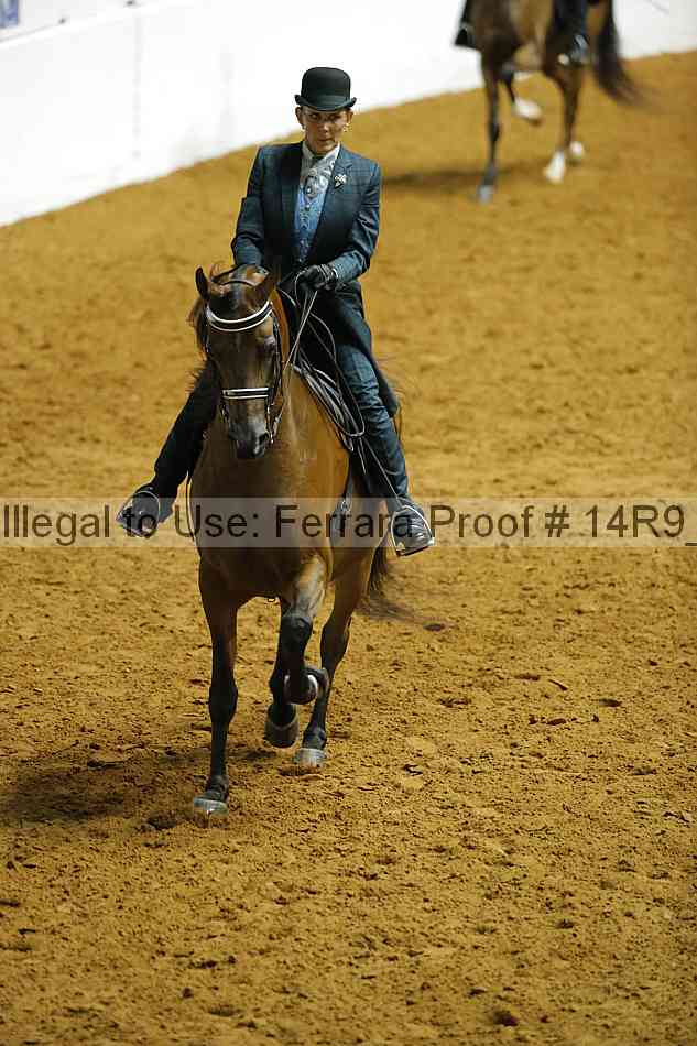 Proof 14r9_2024