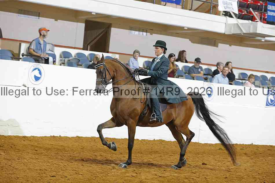 Proof 14r9_2026