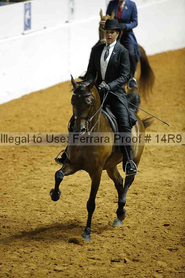 Proof 14r9_2027
