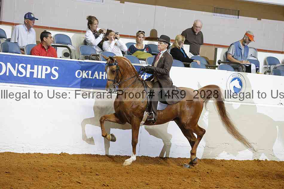 Proof 14r9_2028