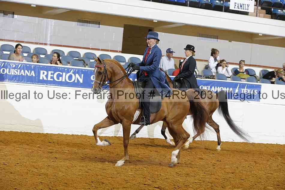 Proof 14r9_2031