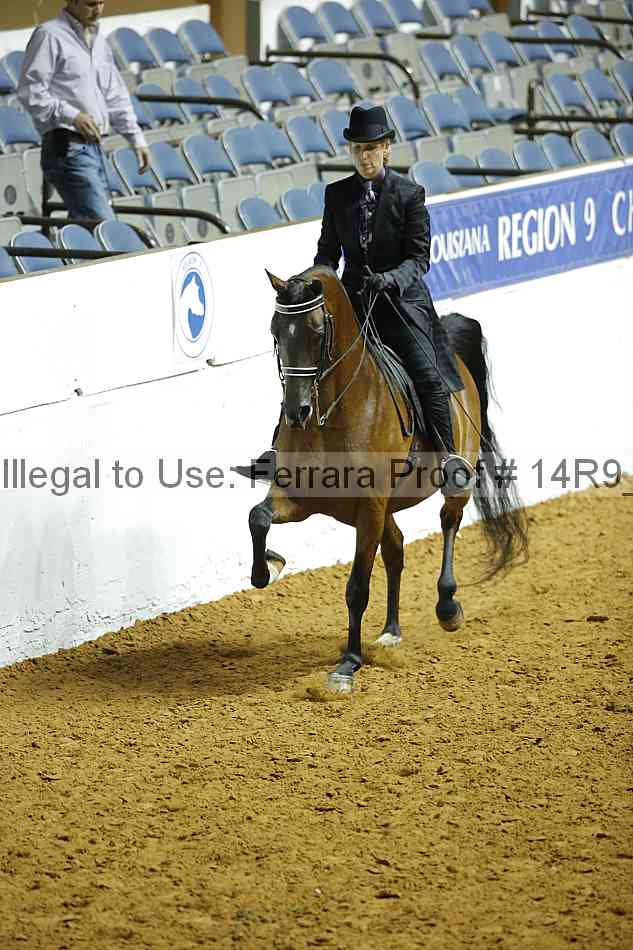 Proof 14r9_2033