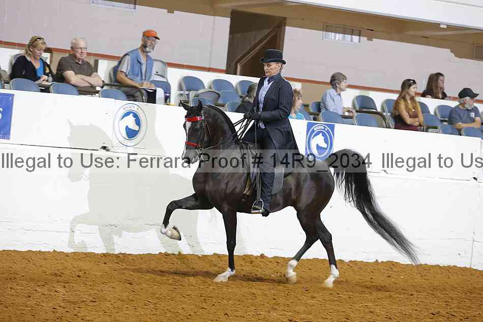 Proof 14r9_2034