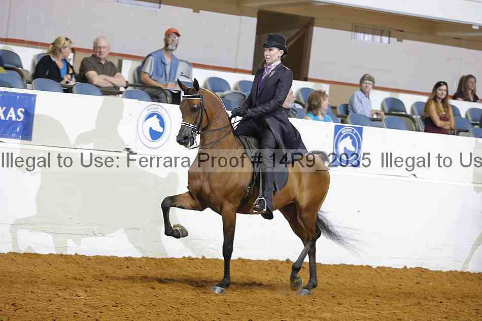 Proof 14r9_2035