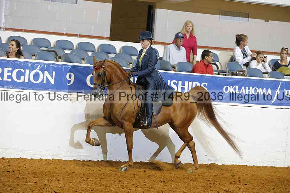 Proof 14r9_2036