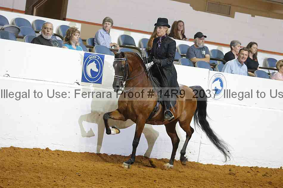 Proof 14r9_2037