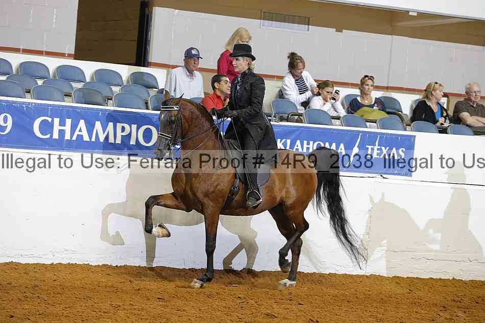 Proof 14r9_2038