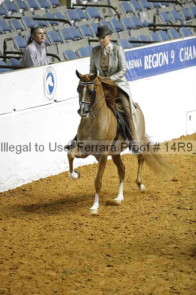 Proof 14r9_2039