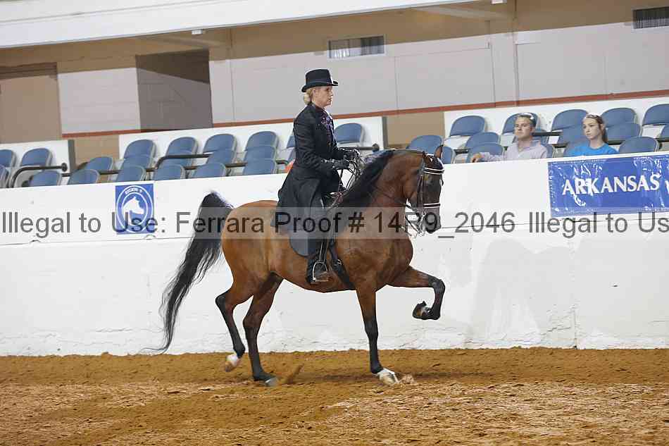 Proof 14r9_2046
