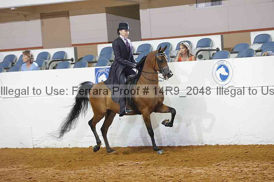 Proof 14r9_2048