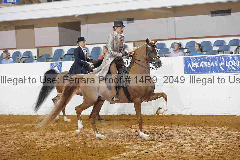 Proof 14r9_2049
