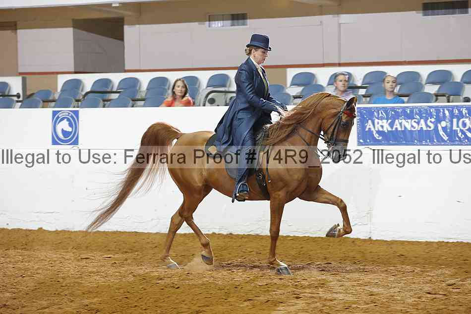 Proof 14r9_2052