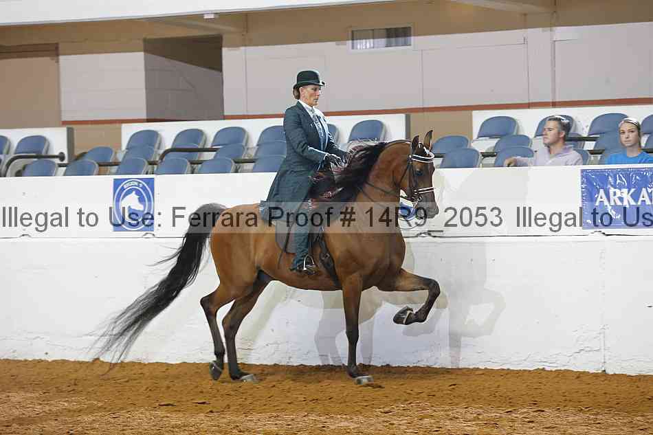Proof 14r9_2053
