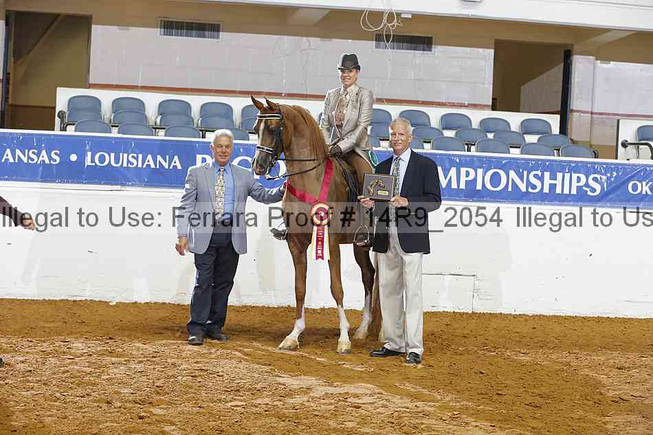 Proof 14r9_2054