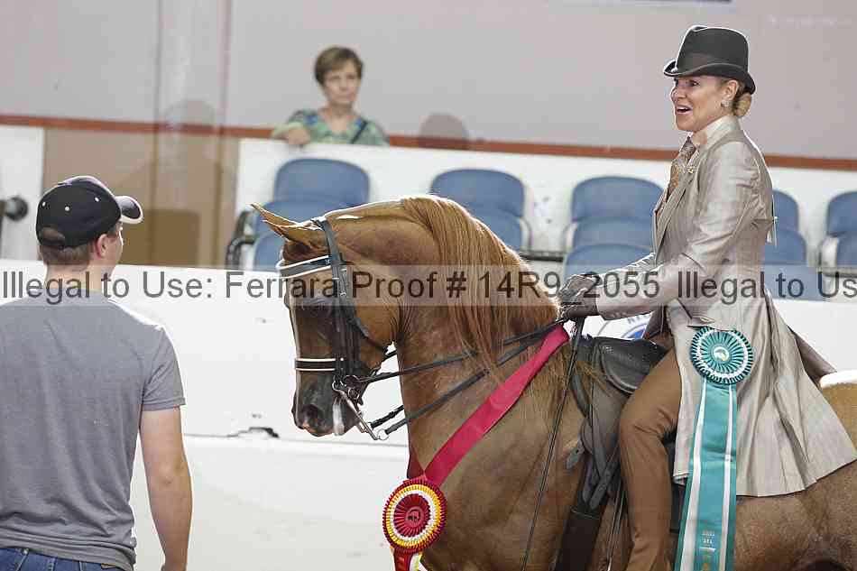 Proof 14r9_2055