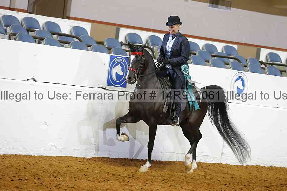 Proof 14r9_2061