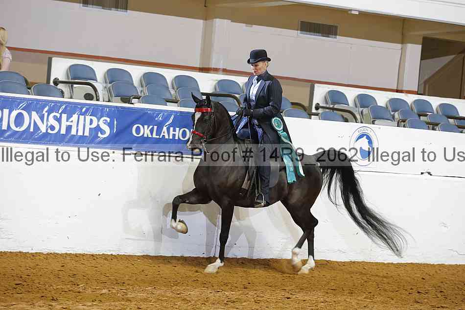 Proof 14r9_2062