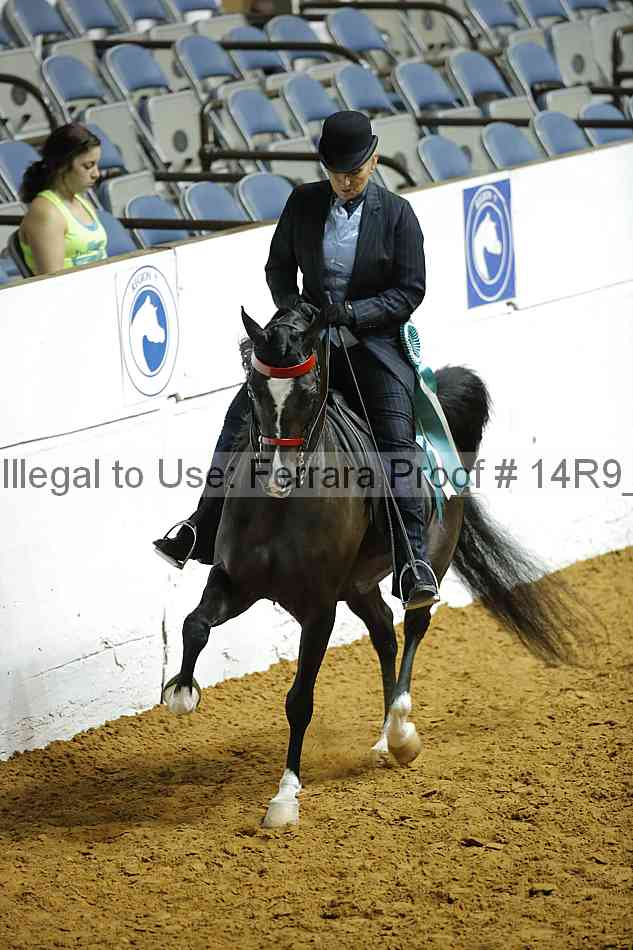 Proof 14r9_2064