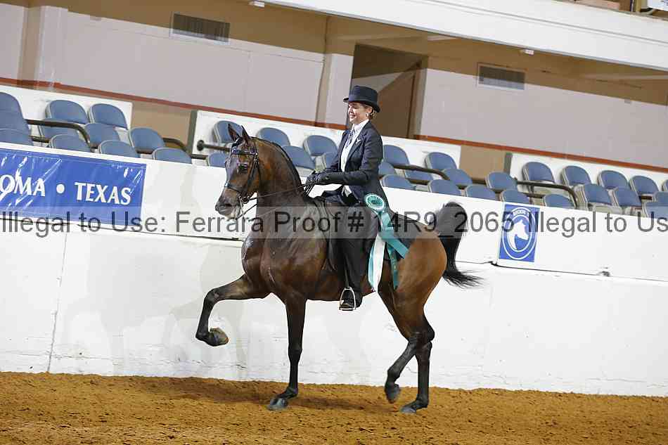 Proof 14r9_2065