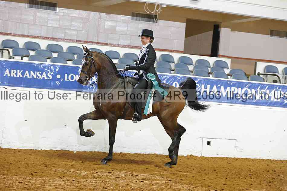 Proof 14r9_2066