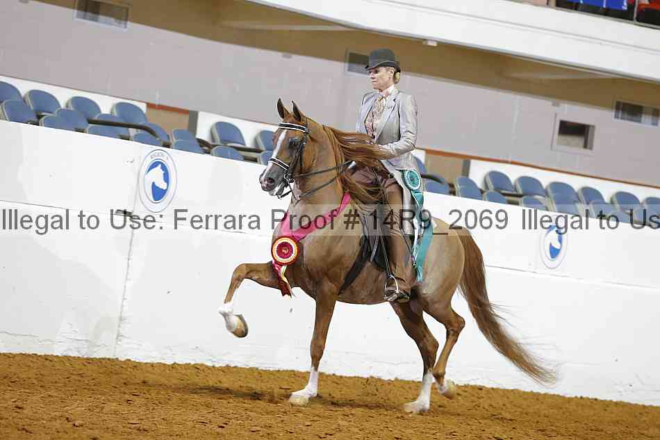Proof 14r9_2069