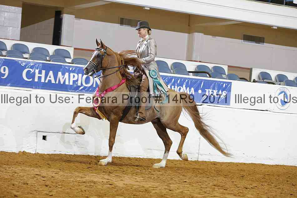 Proof 14r9_2071