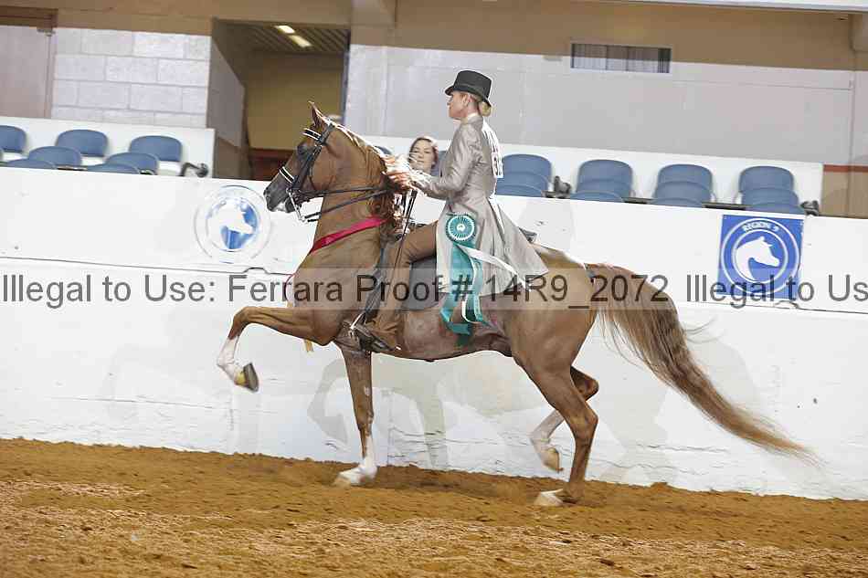 Proof 14r9_2072