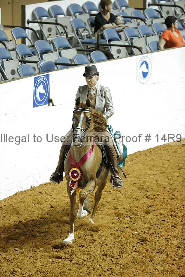 Proof 14r9_2075