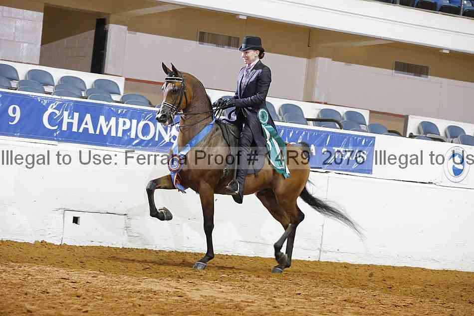 Proof 14r9_2076