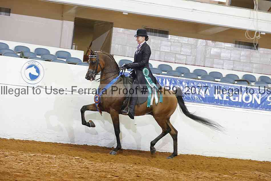 Proof 14r9_2077