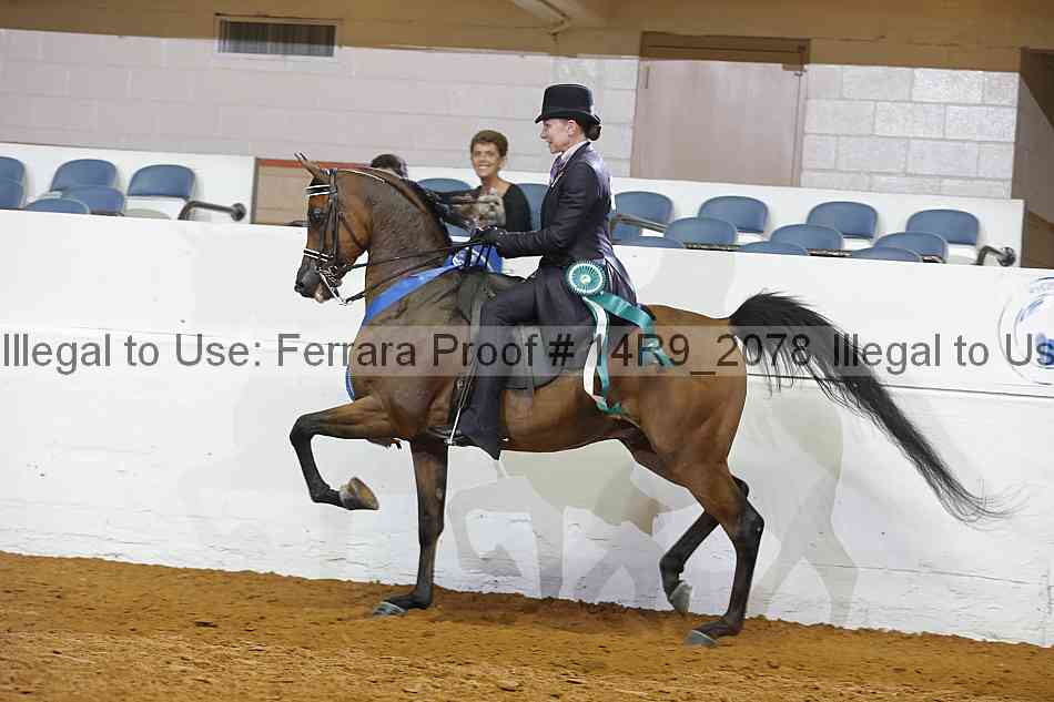 Proof 14r9_2078