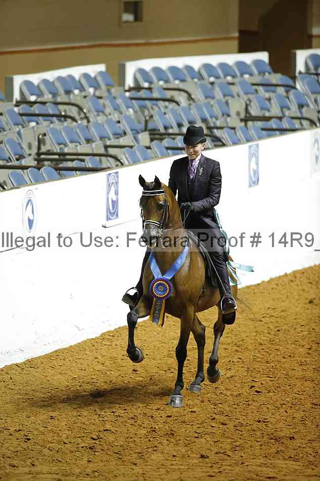 Proof 14r9_2079