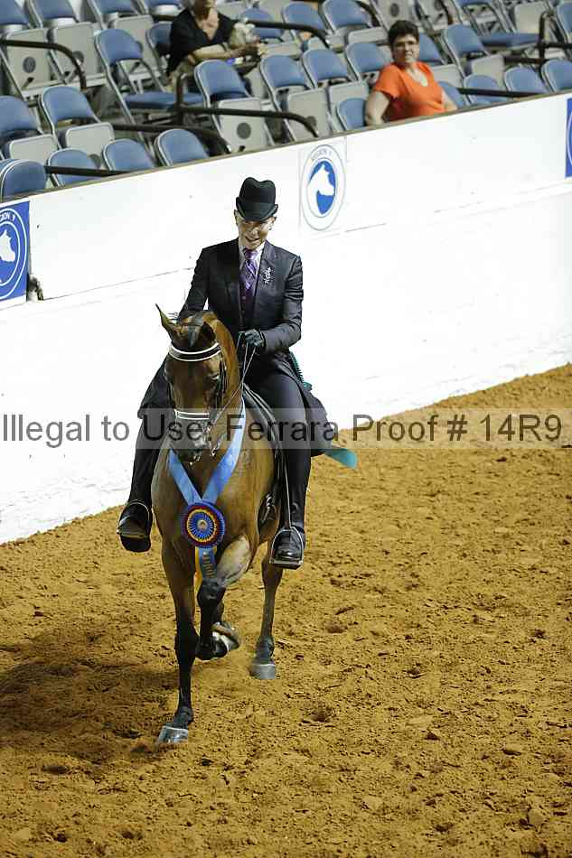 Proof 14r9_2081