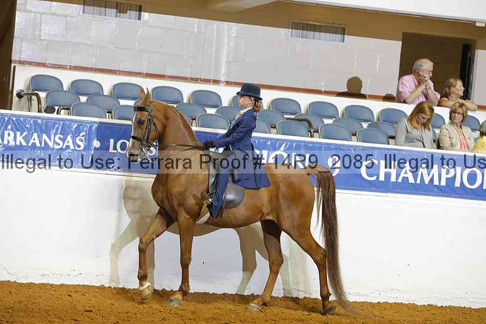 Proof 14r9_2085