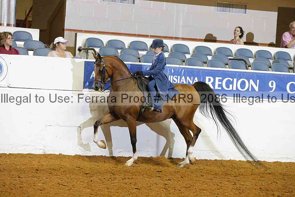 Proof 14r9_2086