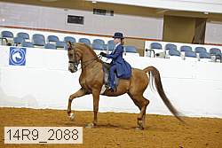 14r9_2088 proof