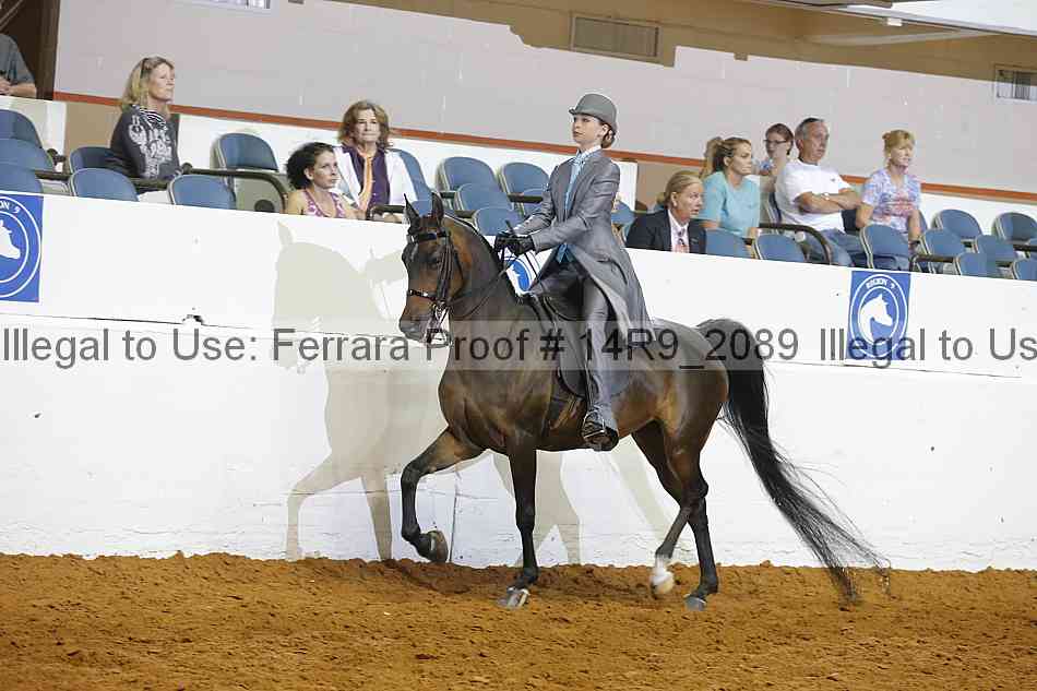 Proof 14r9_2089