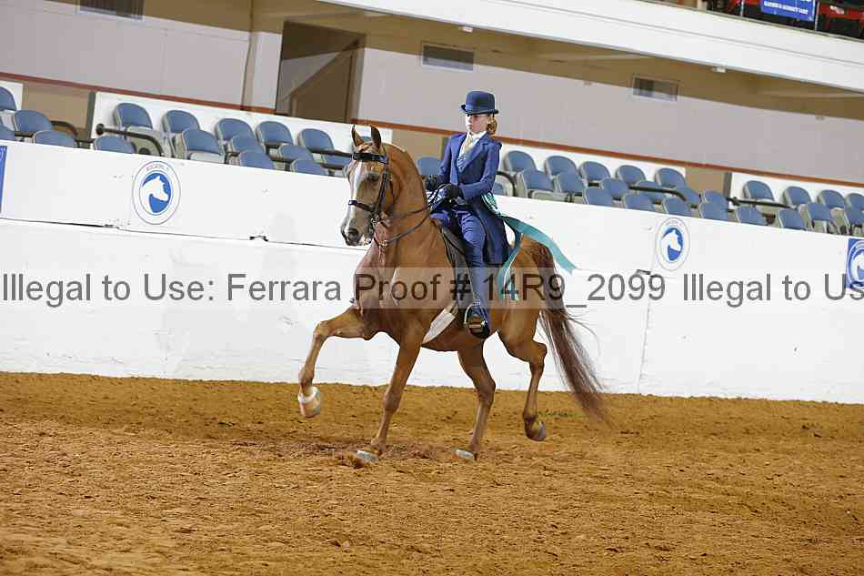 Proof 14r9_2099