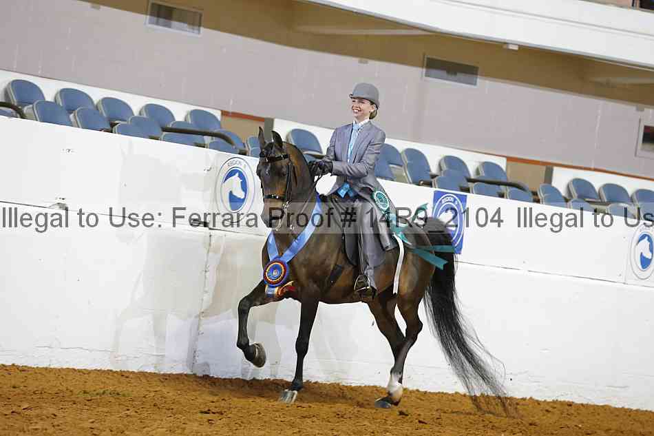 Proof 14r9_2104