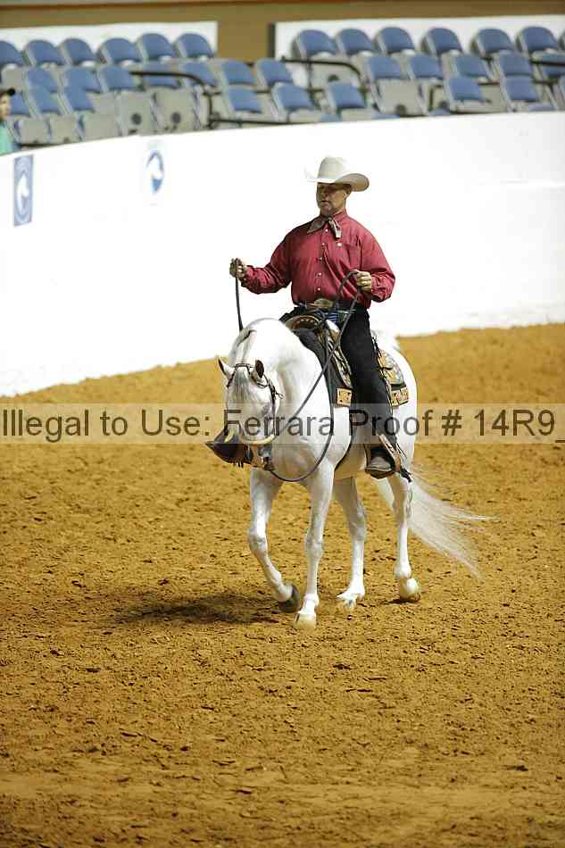 Proof 14r9_2131
