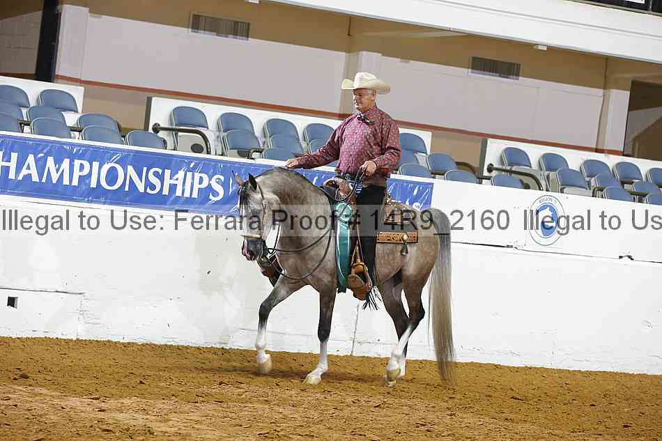 Proof 14r9_2160