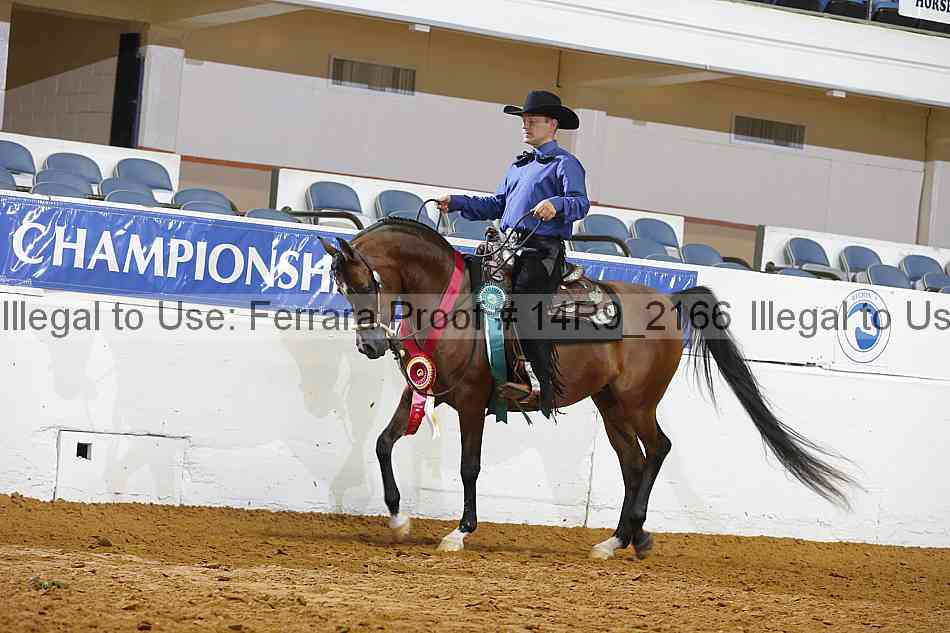 Proof 14r9_2166
