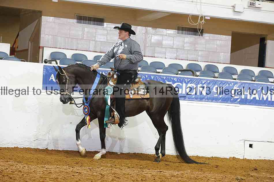 Proof 14r9_2173