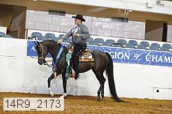14r9_2173 proof