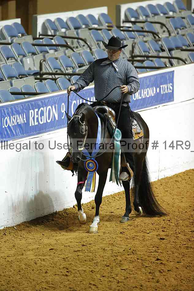 Proof 14r9_2174