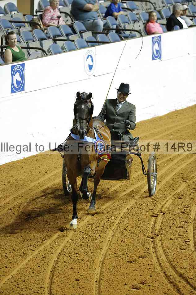 Proof 14r9_2193