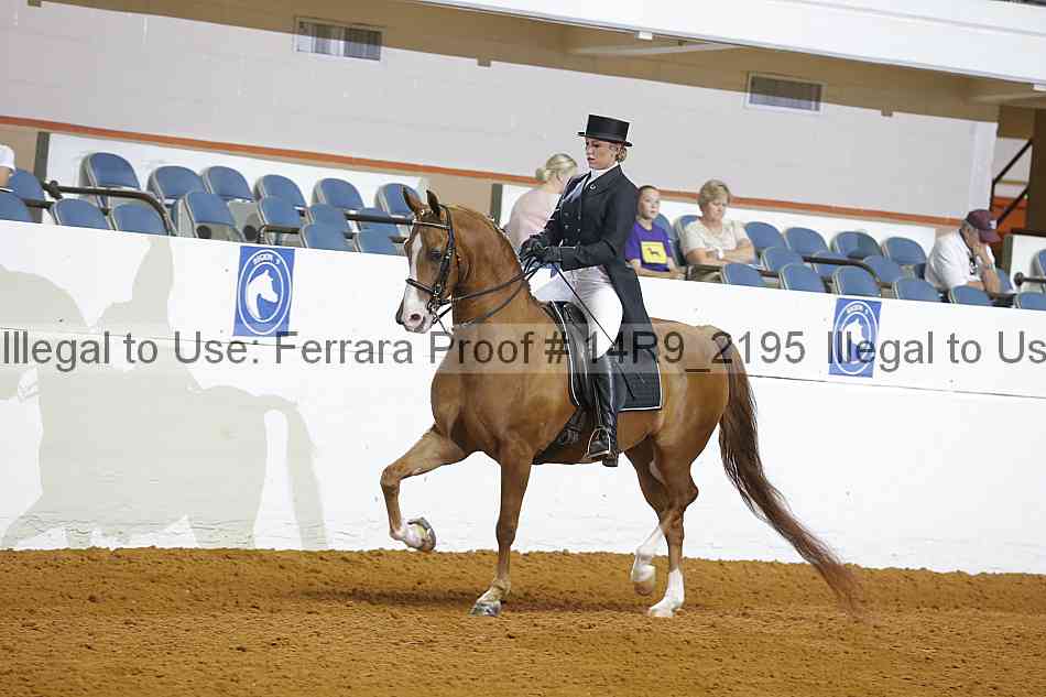 Proof 14r9_2195