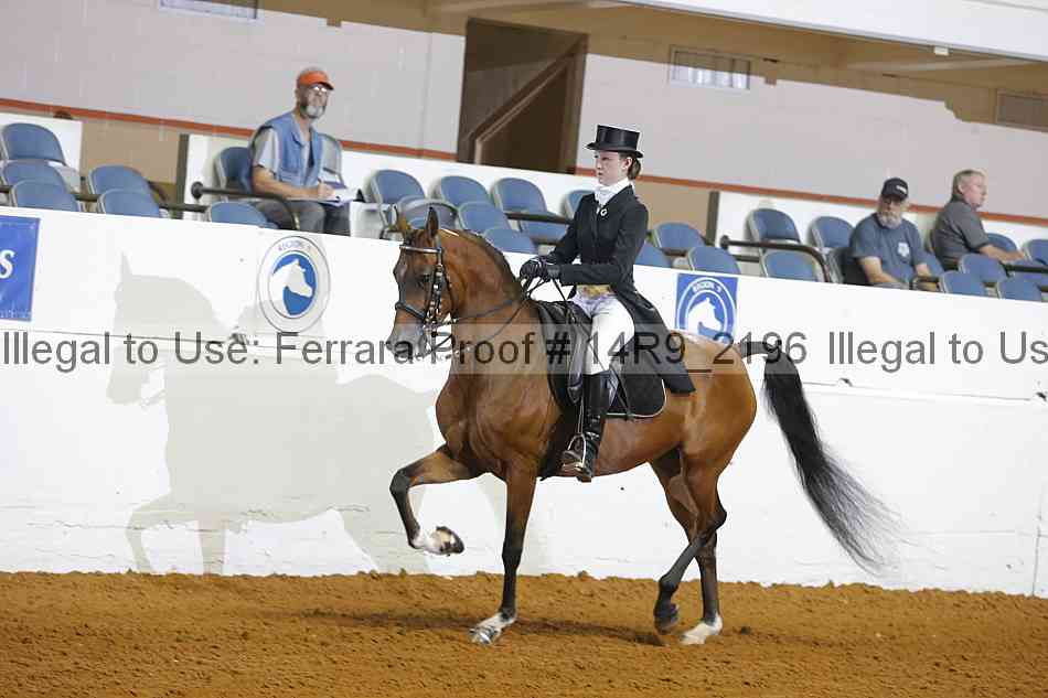 Proof 14r9_2196