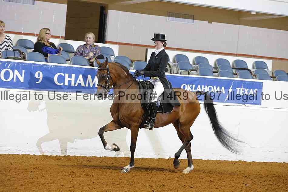 Proof 14r9_2197