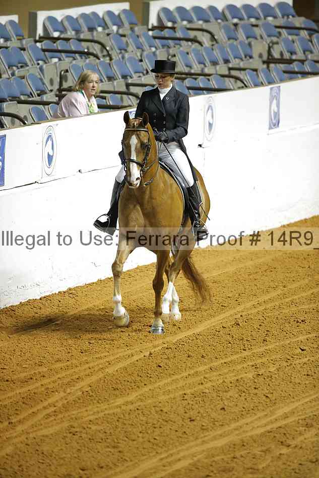 Proof 14r9_2198